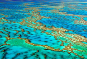 Japanese tourist dies at Australia`s Great Barrier Reef